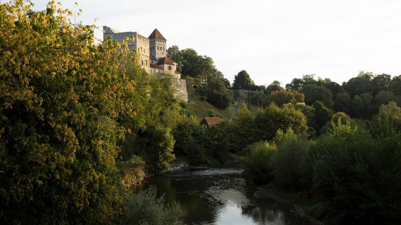 Maison Du Gave Sauveterre-de-Bearn Εξωτερικό φωτογραφία
